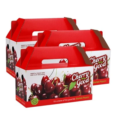 Fruit Box with Handle